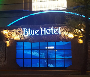 ブルーホテル 様 ガラス面への投影（海底映像）