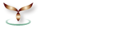 株式会社ワイズプランニング｜Wiseplanning