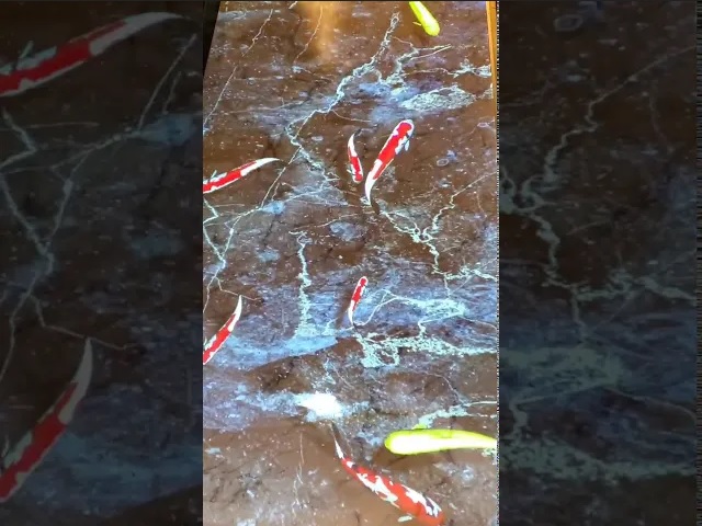 モーションセンサー対応映像演出(飲食店)